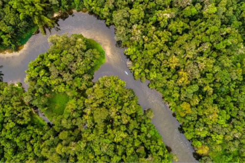 COP30 : la santé a enfin trouvé sa place dans les discussions climatiques