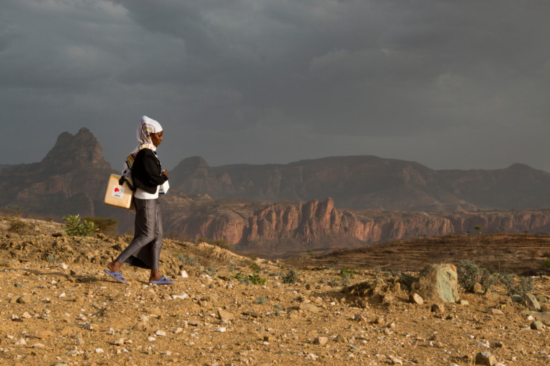 Carnets de santé en Afrique
